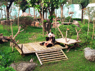 南宁动物园，中国广西壮族自治区南宁市的动物园