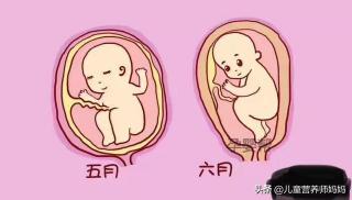 胎动什么时候开始：妊娠中期感知胎儿的早期活动