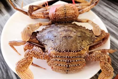 河蟹不能和什么一起吃：避免不良反应，享受健康美味