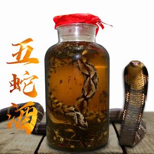 岳阳特产：独特工艺酿造的岳阳龟蛇酒，健康养生的首选