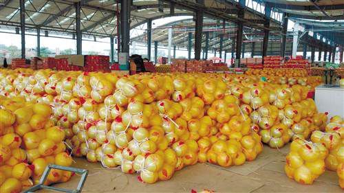 重庆双福国际农贸城：引领西南农产品批发市场的领航者