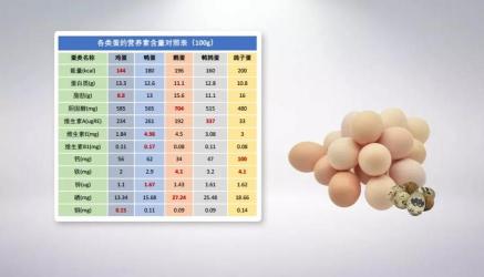 鸽子蛋营养价值揭秘：高蛋白低脂肪，助健康不可多得之选